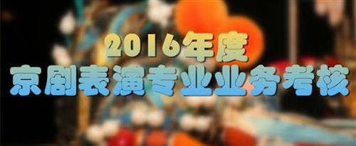 色鸡吧国家京剧院2016年度京剧表演专业业务考...